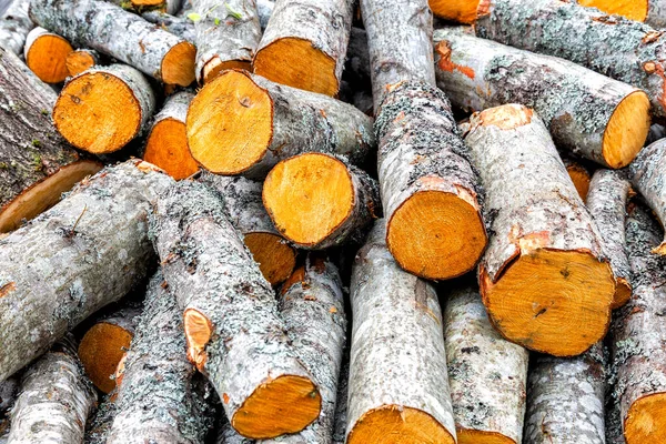 把干柴切碎并堆起来作为背景 堆积如山的木材 被砍倒的树木 — 图库照片