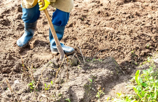 Fragment Ben Gräva Jord Med Spade Närbild Kvinna Som Gräver — Stockfoto