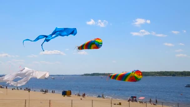 サマラ ロシア 2019年6月8日 砂のビーチで青い空に向かって飛ぶカラフルな凧 — ストック動画
