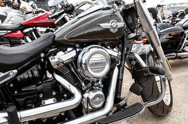 Samara, Rusya - 18 Mayıs 2019: Harley Davidson motosikletleri