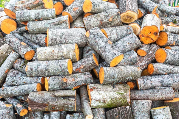 在乡下砍柴 木料堆积如山 砍倒树木 为冬天准备柴火 — 图库照片