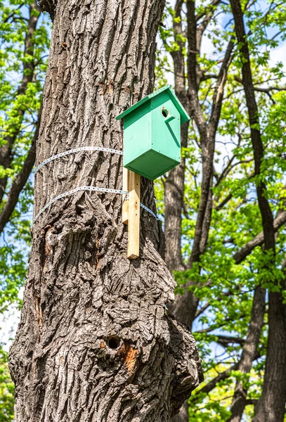 Houten Vogelhuisje Hangend Aan Een Boom Met Groene Bladeren — Stockfoto