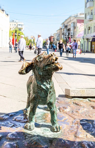 Samara Russia May 2021 Sculpture Small Bronze Dog Fragment Monument — Stock Photo, Image