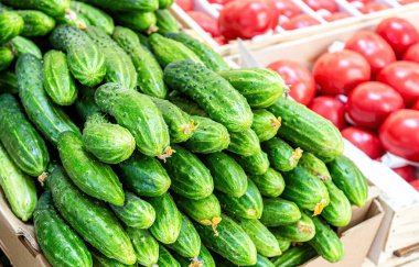 Çiftçi pazarında yeni toplanmış salatalık ve domates.