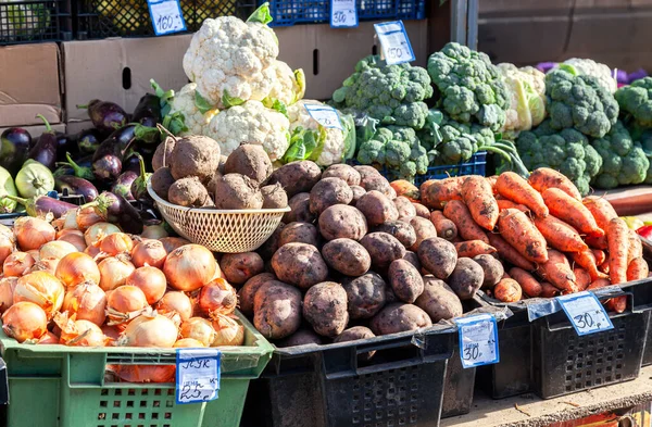 Verschiedenes Frisches Bio Gemüse Auf Bauernmarkt — Stockfoto