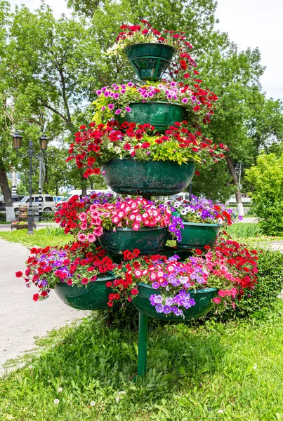 夏の晴れた日の街の通りで装飾花 都市の花 — ストック写真