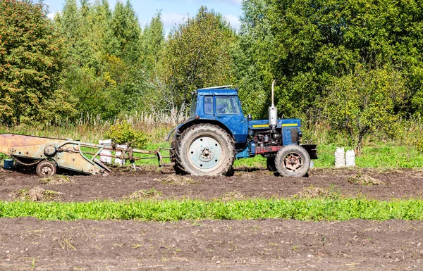 秋にジャガイモ農園で働く古い車輪付き農業用トラクター 畑で有機ジャガイモを収穫 — ストック写真