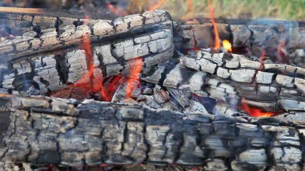 Hd çekim arka plan-e doğru harekete ateşe odun yanan — Stok video