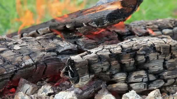 Gros plan d'un feu chaud brûlant dans un feu de camp — Video