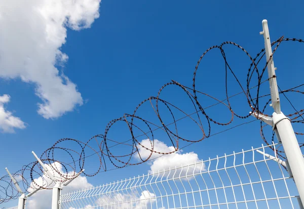 Barbed wire on blue sky background — Stock Photo, Image