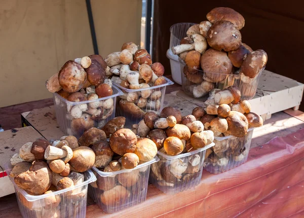 Raw edible mushrooms ready for sale at local market — Stock Photo, Image