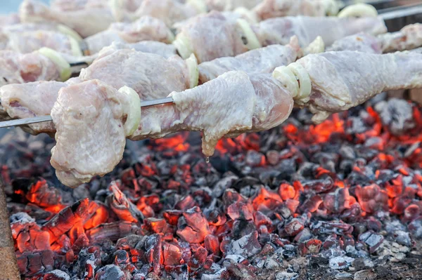 Shashlik (shish kebab) on skewers — Stock Photo, Image