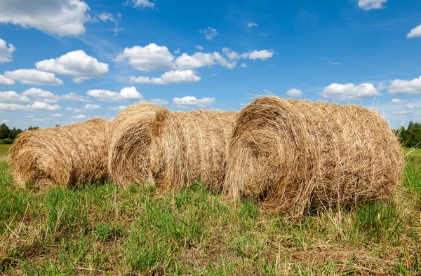 Round straw bales in harvested fields and blue sky with clouds — Stock Photo, Image