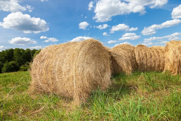 Fardos de heno dorado en el campo bajo el cielo azul en el día de verano —  Fotos de Stock