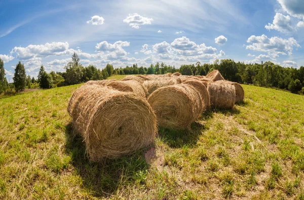 Halmbalar på jordbruksmark med blå molnig himmel — Stockfoto