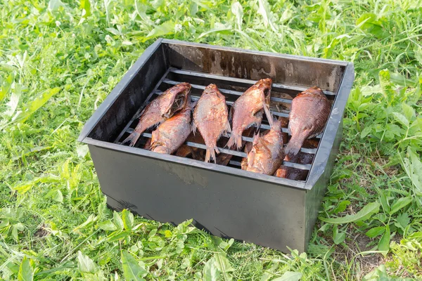 Poisson fumé en fumoir à l'extérieur — Photo