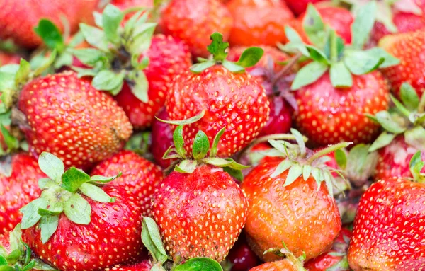 Fresh ripe strawberry as background — Stock Photo, Image