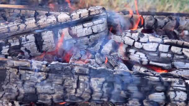 Vista da vicino di un falò fiamme e legna da ardere — Video Stock