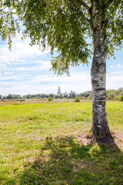 Lonely birch on the background of an Orthodox monastery on a sun — Stock Photo, Image