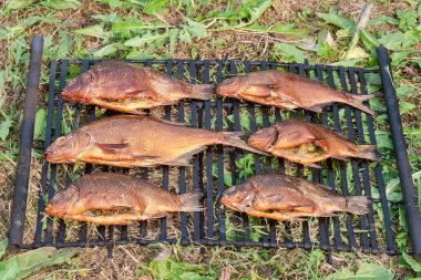 Sadece temiz su nehirde yakalanan taze balık füme