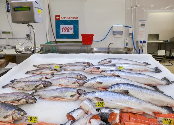 Готові до продажу сирої риби — стокове фото