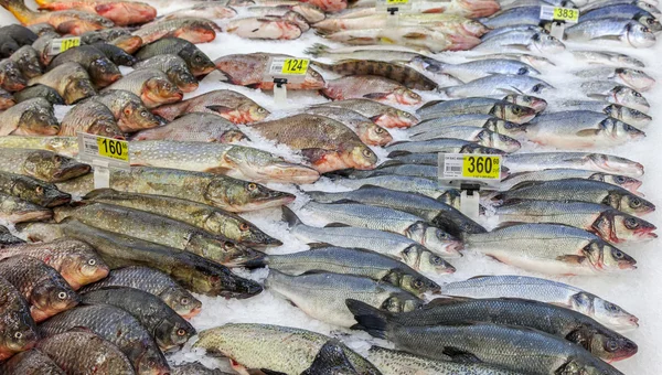 Pescado crudo listo para la venta — Foto de Stock