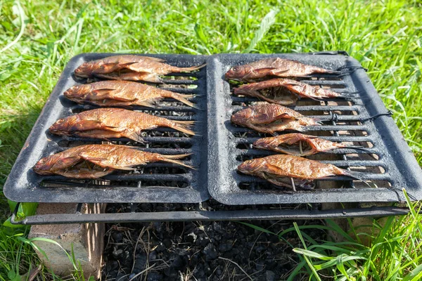 Poisson frais fumé fait maison à l'extérieur — Photo