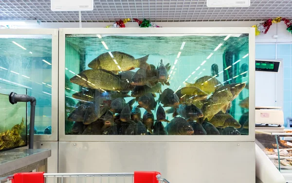 Pesce vivo pronto per la vendita nell'ipermercato — Foto Stock