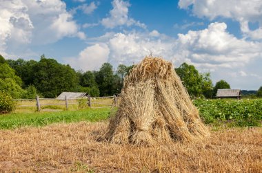 Kırsal yaz yatay yaz güneşli gün