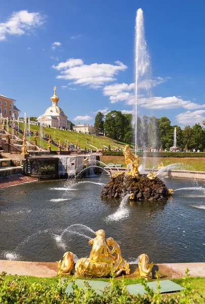 La fuente de Peterhof "Sansón desgarrando la boca del león" en soleado —  Fotos de Stock