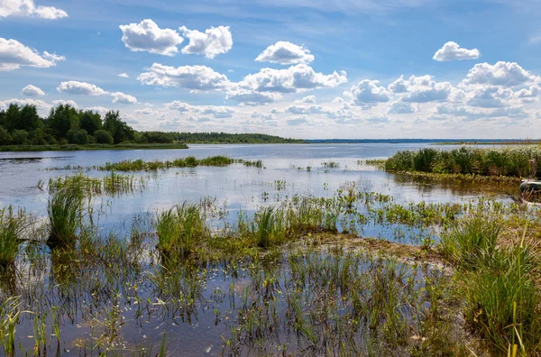 Paysage estival avec lac par une journée ensoleillée — Photo