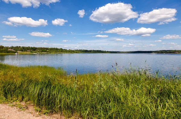 Paysage estival avec lac par une journée ensoleillée — Photo