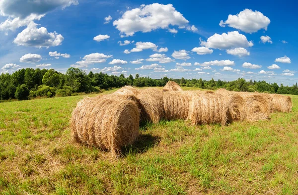 Heu- und Strohballen auf Ackerland bei blauem Himmel an Sommertagen — Stockfoto