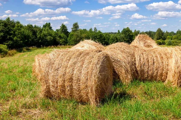 Straw bales on farmland in summer sunny day — Stock Photo, Image