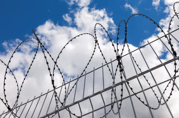Barbed wire on blue sky background Stock Picture