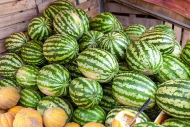 Satılık yerel çiftçilere piyasa de taze karpuz