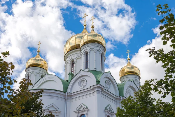 Golden domes of Catherine cathedral against blue sky. Tsarskoye — Stock Photo, Image