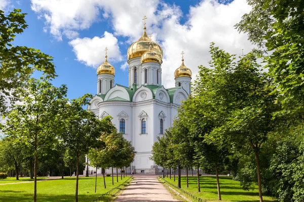 Orthodox Catherine's Cathedral in Pushkin town (Tsarskoye Selo) — Stock Photo, Image