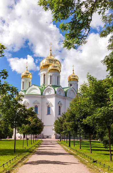 Orthodoxe Catherine's kathedraal in de stad Poesjkin (Tsarskoye Selo) — Stockfoto