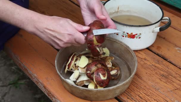 Vrouw schillen aardappelen in het dorp op de Bank — Stockvideo