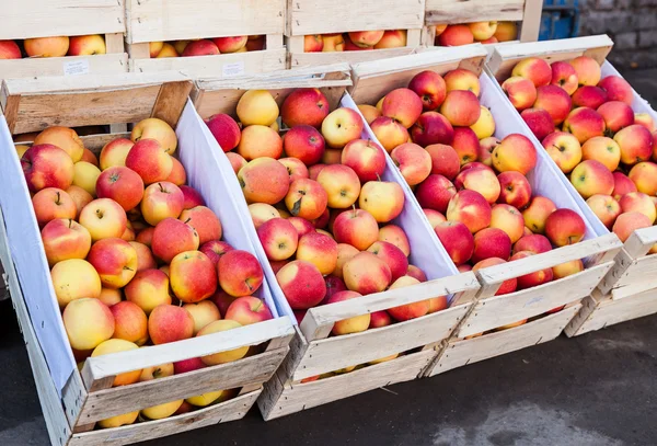 Mele fresche di nuovo raccolto pronte per la vendita presso gli agricoltori locali m — Foto Stock