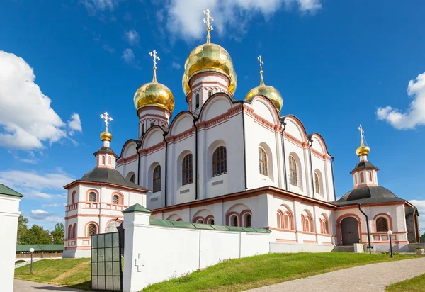 Cathedral of the Assumption of the Blessed Virgin Mary in the Iv — Stock Photo, Image