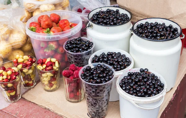 Fresh berries of new harvest ready to sale at the local farmers — Stock Photo, Image