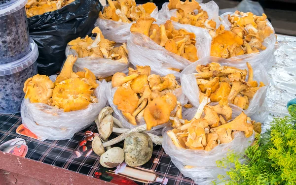 Funghi freschi di nuovo raccolto pronti per la vendita presso l'agricoltore locale — Foto Stock