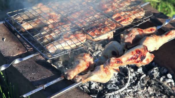 Stukken kip vlees wordt gebakken op een houtskool grill op het buitenleven — Stockvideo