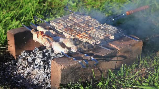 Stukken kip vlees wordt gebakken op een houtskool grill op het buitenleven — Stockvideo
