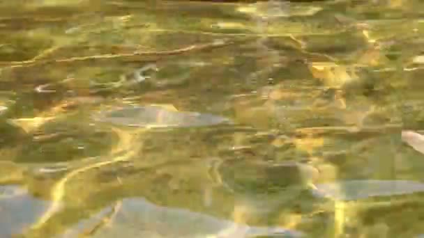 Маленькие волны на поверхности воды в качестве фона в золотом тоне — стоковое видео