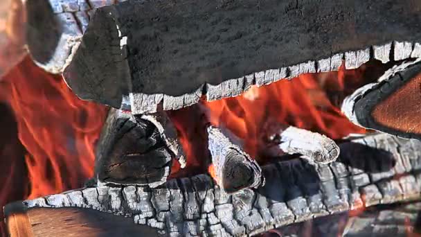 Closeup de lenha quente em chamas na fogueira — Vídeo de Stock