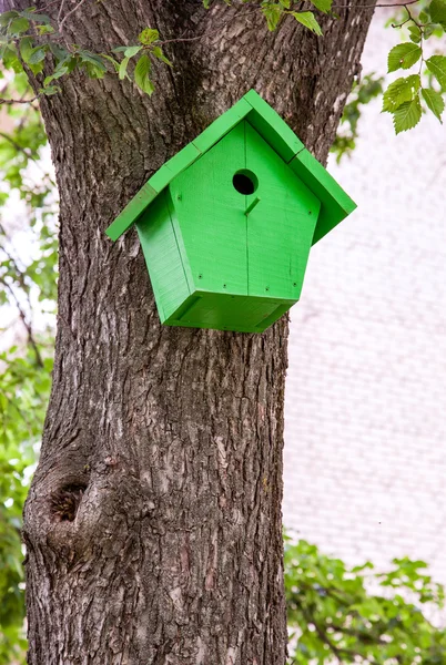 绿色禽舍，悬挂在树上 — 图库照片
