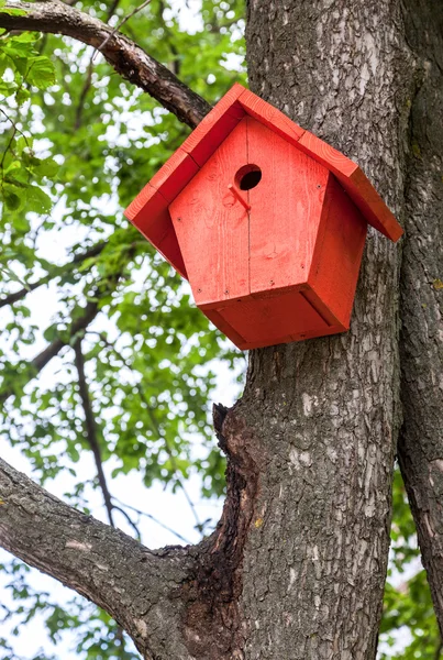 Rotes Vogelhaus hängt an einem Baum — Stockfoto